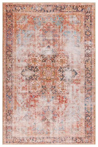 Vintage style rug with rust and navy center medallion and intricate tribal and floral border design