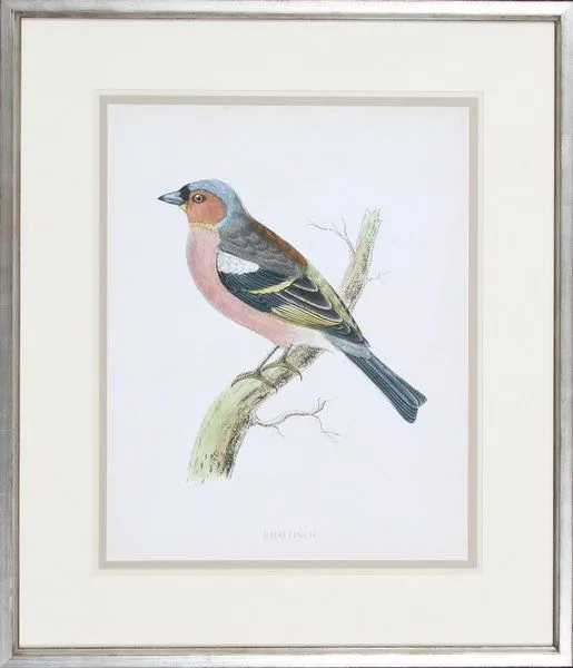 Product Image 1 for On the Lookout from Shadow Catchers