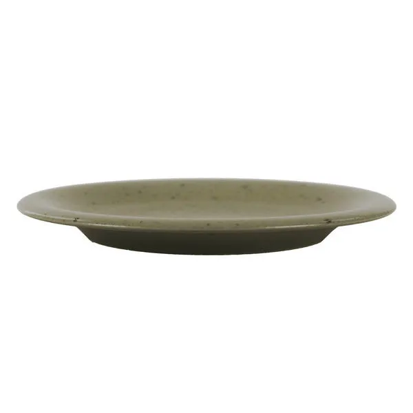 Product Image 1 for Bosque Stoneware Dinner Plate from BIDKHome