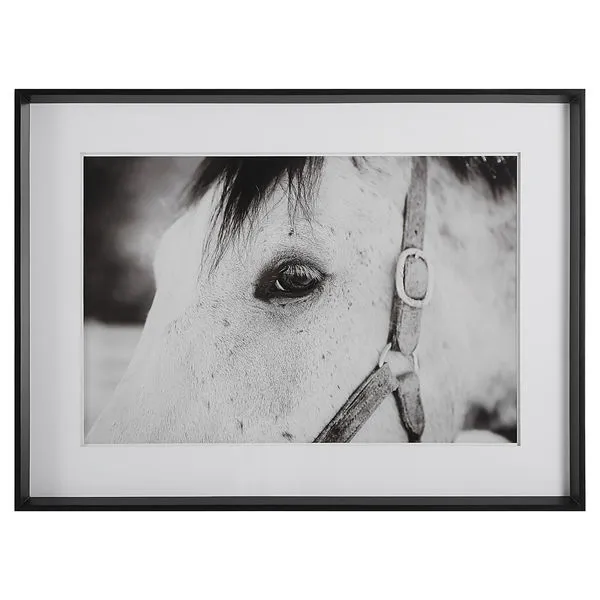 Product Image 1 for Eye of the Beholder Black & White Framed Horse Print from Uttermost