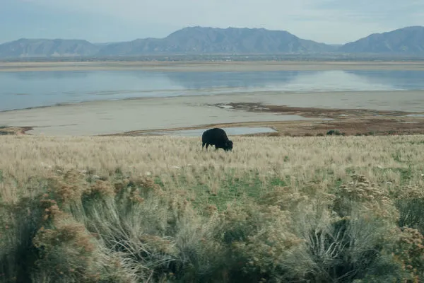 Product Image 1 for Blue Prairie Art from Simply Framed