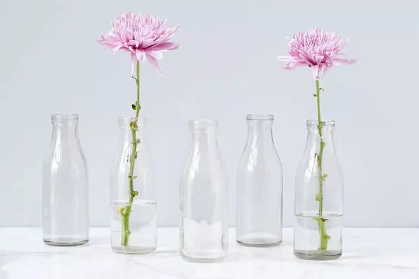 Product Image 1 for Yogurt Bottle from etúHOME