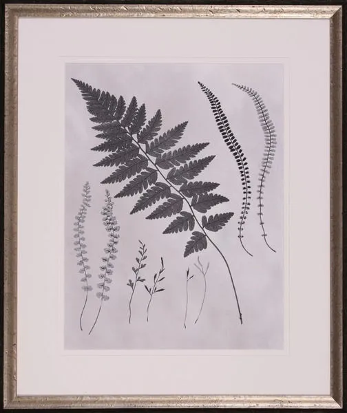 Product Image 1 for Sprout II from Shadow Catchers