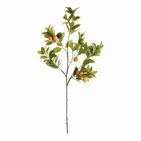 Product Image 1 for Faux Orange Branches , Set Of 2 from Napa Home And Garden