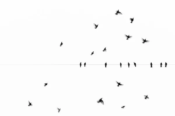 Product Image 1 for Fly By Art By Ryan Garvin from Ryan Garvin