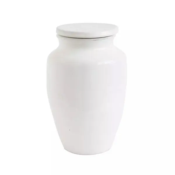 Product Image 1 for Medium Round White Terracotta Cachepot from Creative Co-Op