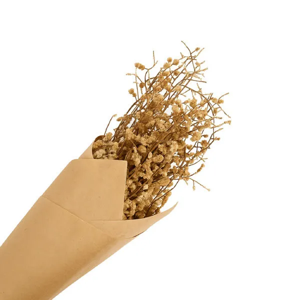 Product Image 1 for Bui Grass Paper Wrap Natural Bunch from BIDKHome