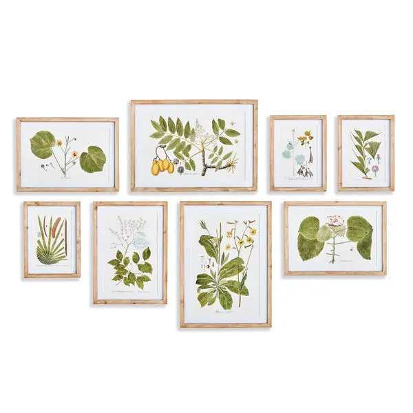 Product Image 1 for Flora And Fauna Gallery Prints, Set Of 8 from Napa Home And Garden