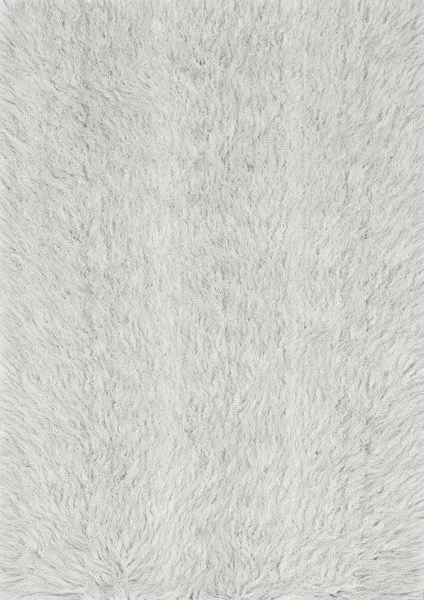 Product Image 1 for Petra Ivory / Silver Rug from Loloi