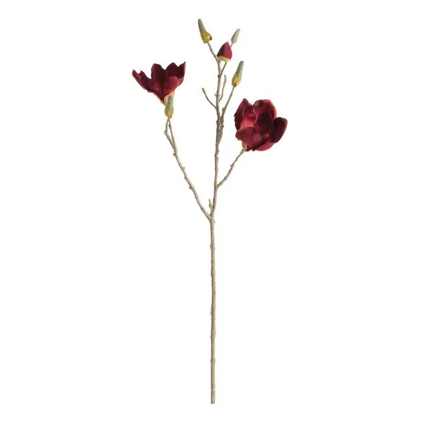 Product Image 1 for Magnolia Stems, Set of 4 from Napa Home And Garden