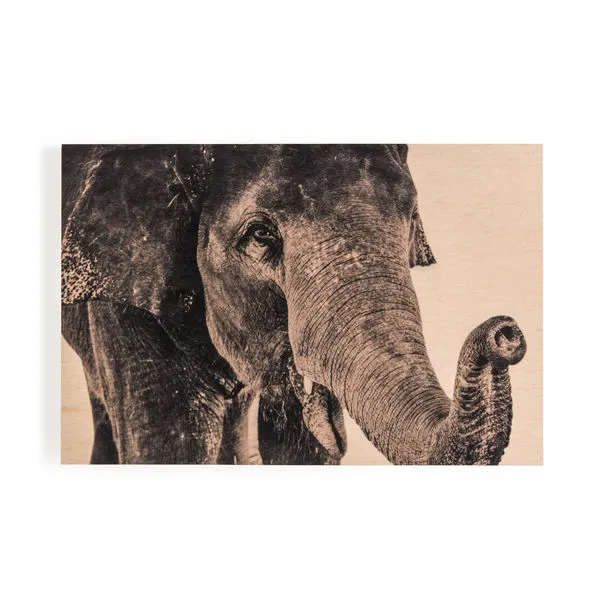 Product Image 4 for Elephant from Four Hands