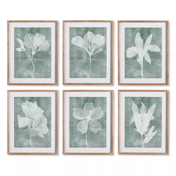Product Image 2 for Translucent Floral Prints, Set Of 6 from Napa Home And Garden