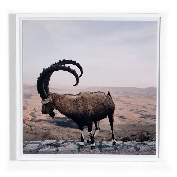 Product Image 2 for Ram By Vitaliy Paykov from Four Hands