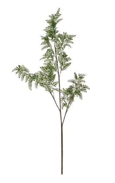 Product Image 3 for 81"H Faux Fern Stem from Creative Co-Op