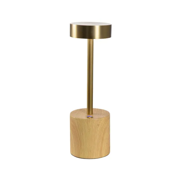 Product Image 1 for Theodore Rechargeable Lamp from Wildwood Home