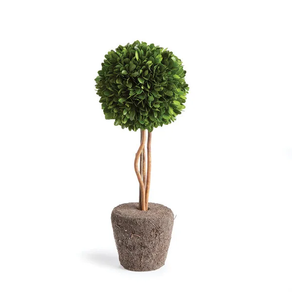 Product Image 1 for Boxwood Single Sphere Topiary Drop-In from Napa Home And Garden