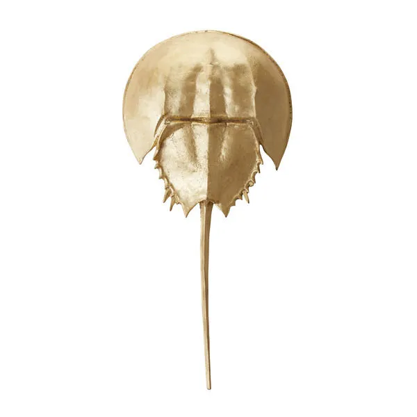Product Image 1 for Gold Mica Horseshoe Crab from Elk Home