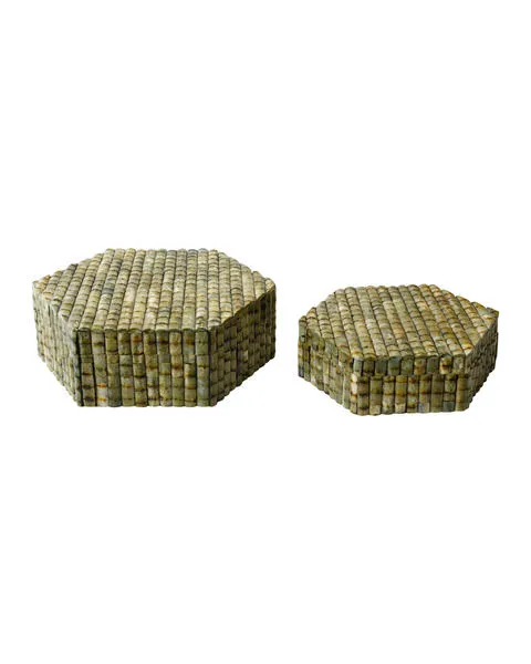 Product Image 1 for Knepp Green Box, Set of 2 from Currey & Company