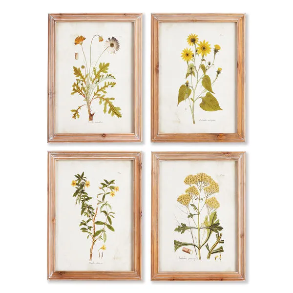 Product Image 2 for Golden Wildflower Study, Set Of 4 from Napa Home And Garden