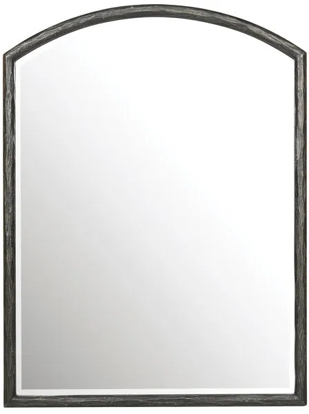 Product Image 1 for Driftwood Vertical Mirror from Hooker Furniture