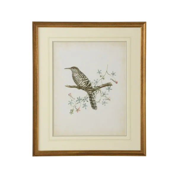 Product Image 1 for Delicate Birds IV Artwork from Chelsea House