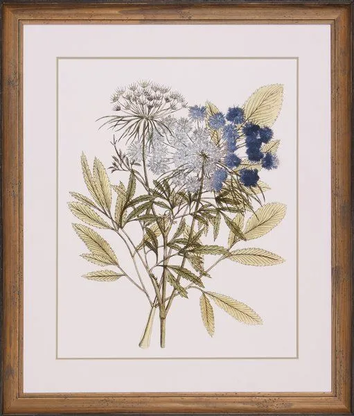 Product Image 1 for Leaves Of Lace I from Shadow Catchers