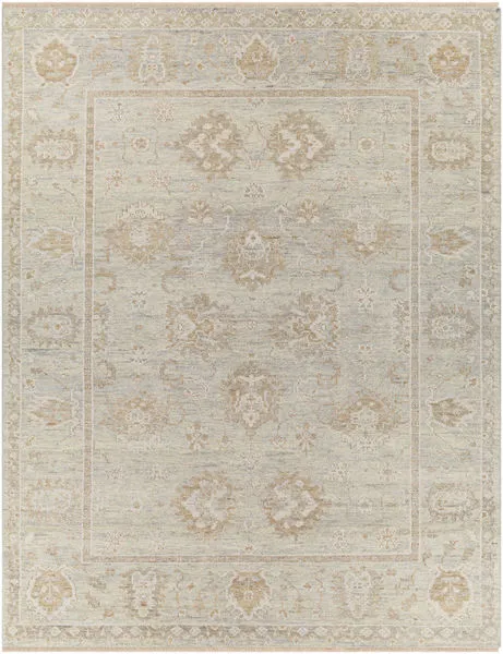 Product Image 1 for Biscayne Light Gray / Tan Rug from Surya