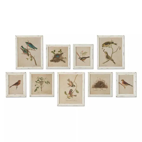 Product Image 1 for Framed Aviary Bird & Nest Habitat Prints, Set Of 9 from Napa Home And Garden