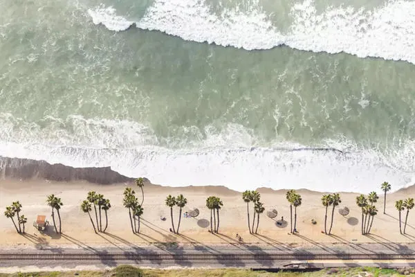 Product Image 1 for T Street Art By Ryan Garvin from Ryan Garvin