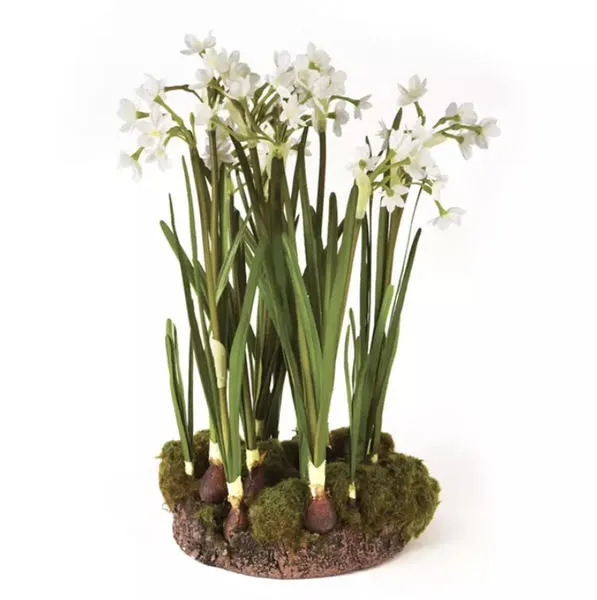 Product Image 2 for Paperwhite Drop-In Round Base 18" from Napa Home And Garden