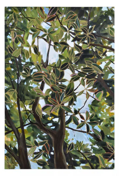 Product Image 1 for Sao Paulo from Scout & Nimble