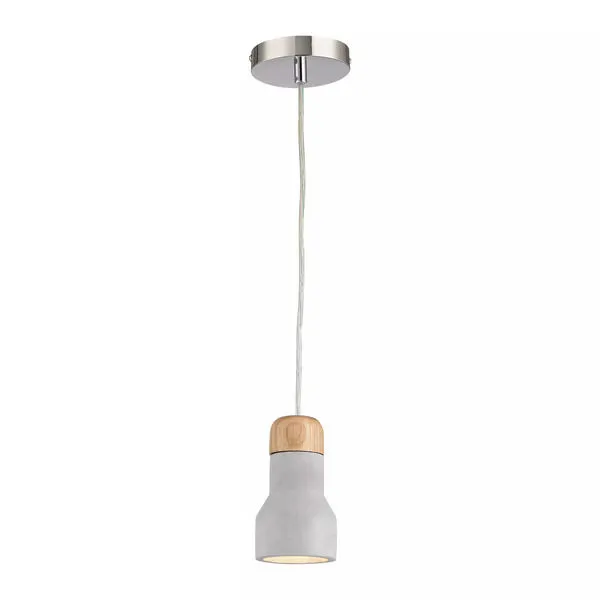Product Image 1 for Brutewood 1 Light Pendant In Polished Concrete from Elk Home