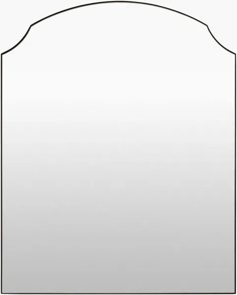 Product Image 1 for Landon Black Accent Mirror from Livabliss