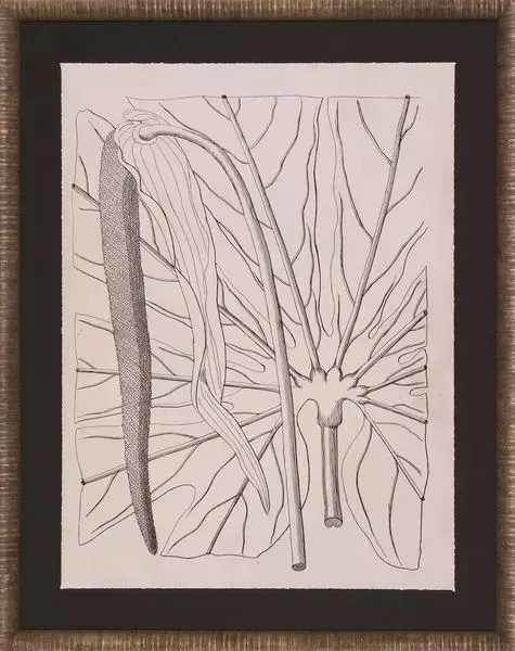 Product Image 1 for Lively Leaves IV Art from Shadow Catchers