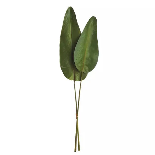 Product Image 1 for Strelitzia Leaf 63", Bundle Of 2 from Napa Home And Garden