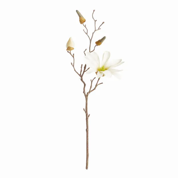 Product Image 1 for Star Magnolia Stems , Set Of 6 from Napa Home And Garden