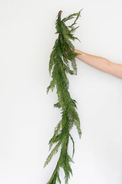 Product Image 4 for Michelle 5.5' Cedar Garland from Raz Imports