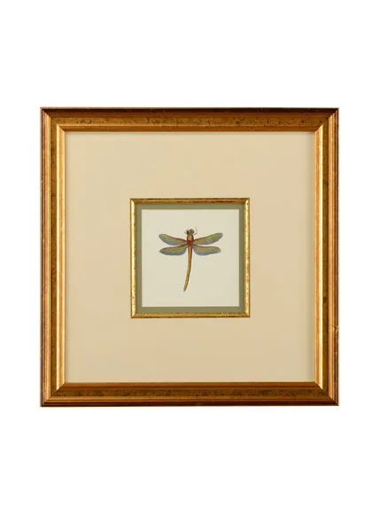 Product Image 1 for Miniature Dragonfly II Artwork from Chelsea House