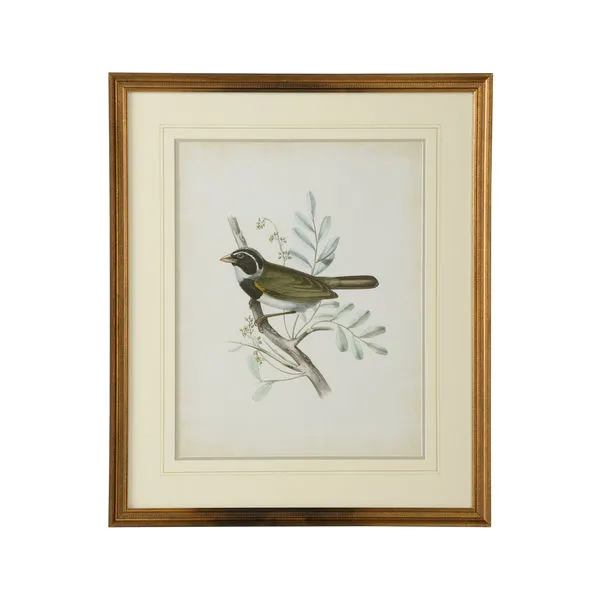 Product Image 1 for Delicate Birds VI Artwork from Chelsea House