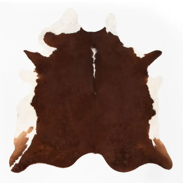 Brown and white cowhide rug with deep rich brown center and white patches along edges in irregular shape