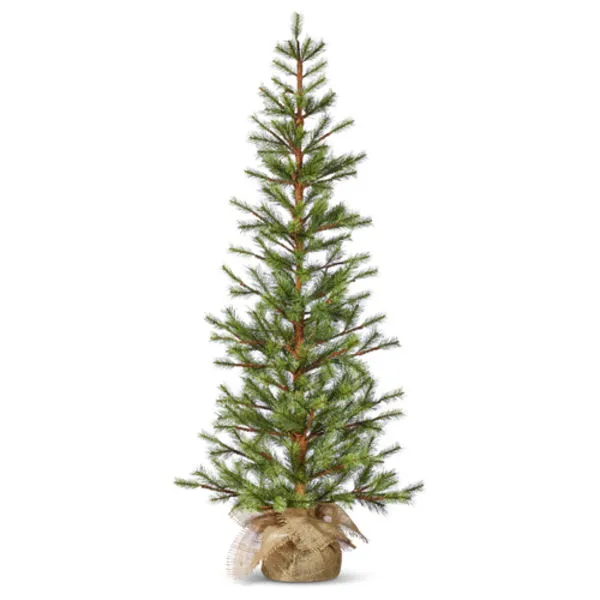 Product Image 1 for Juniper 4' Slim Pine Tree in Bag from Raz Imports