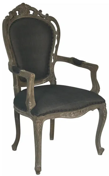 Product Image 1 for Orleon Arm Chair from Noir