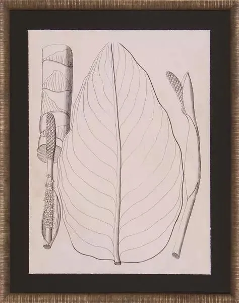 Product Image 1 for Lively Leaves III Art from Shadow Catchers