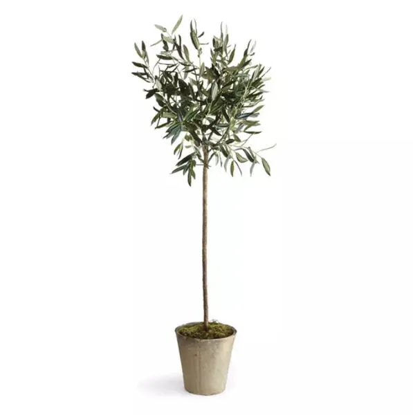 Product Image 3 for Olive Tree Potted 46" from Napa Home And Garden