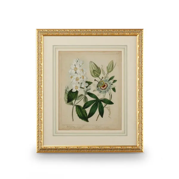 Product Image 1 for Cottage Florals Artwork II from Chelsea House