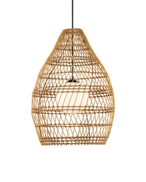 Product Image 1 for Fishtrap Outdoor Pendant from Currey & Company