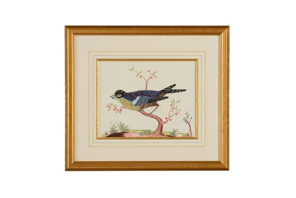 Product Image 1 for Patton Blue Bird Artwork from Chelsea House