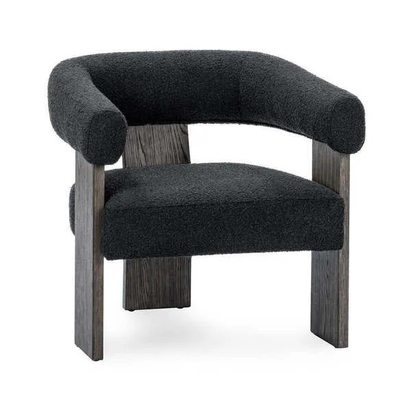 Product Image 1 for Julina Upholstered Accent Chair from Classic Home Furnishings