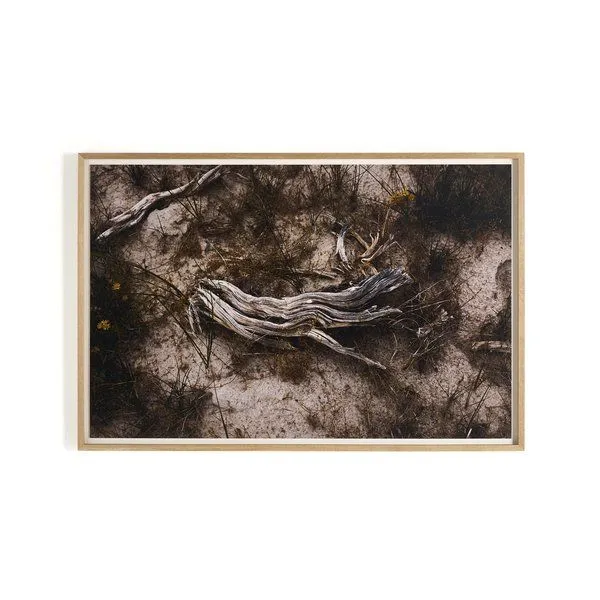Product Image 1 for Bough by Shade Degges - Vertical Grain 2.5 White Oak from Four Hands