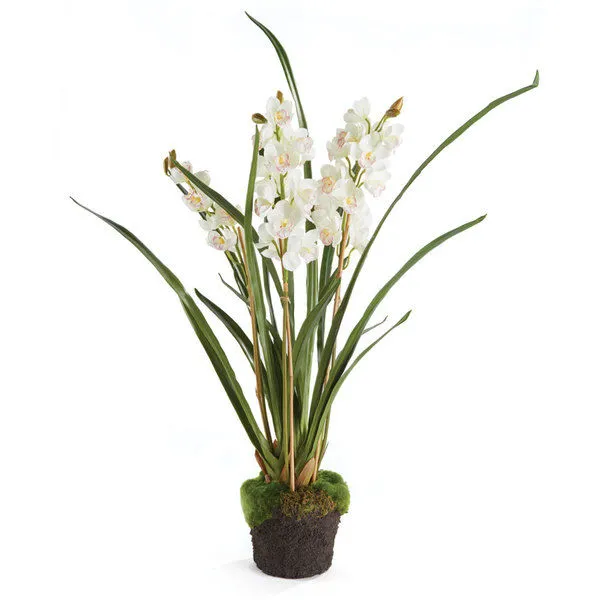 Product Image 1 for Cymbidium Orchid X3 Drop In 36" from Napa Home And Garden